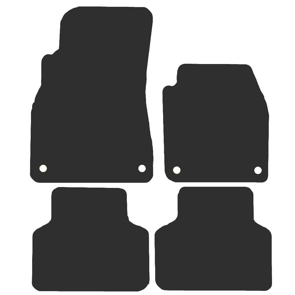 Audi Q8 2019-Current (4 Clips) Car Mats