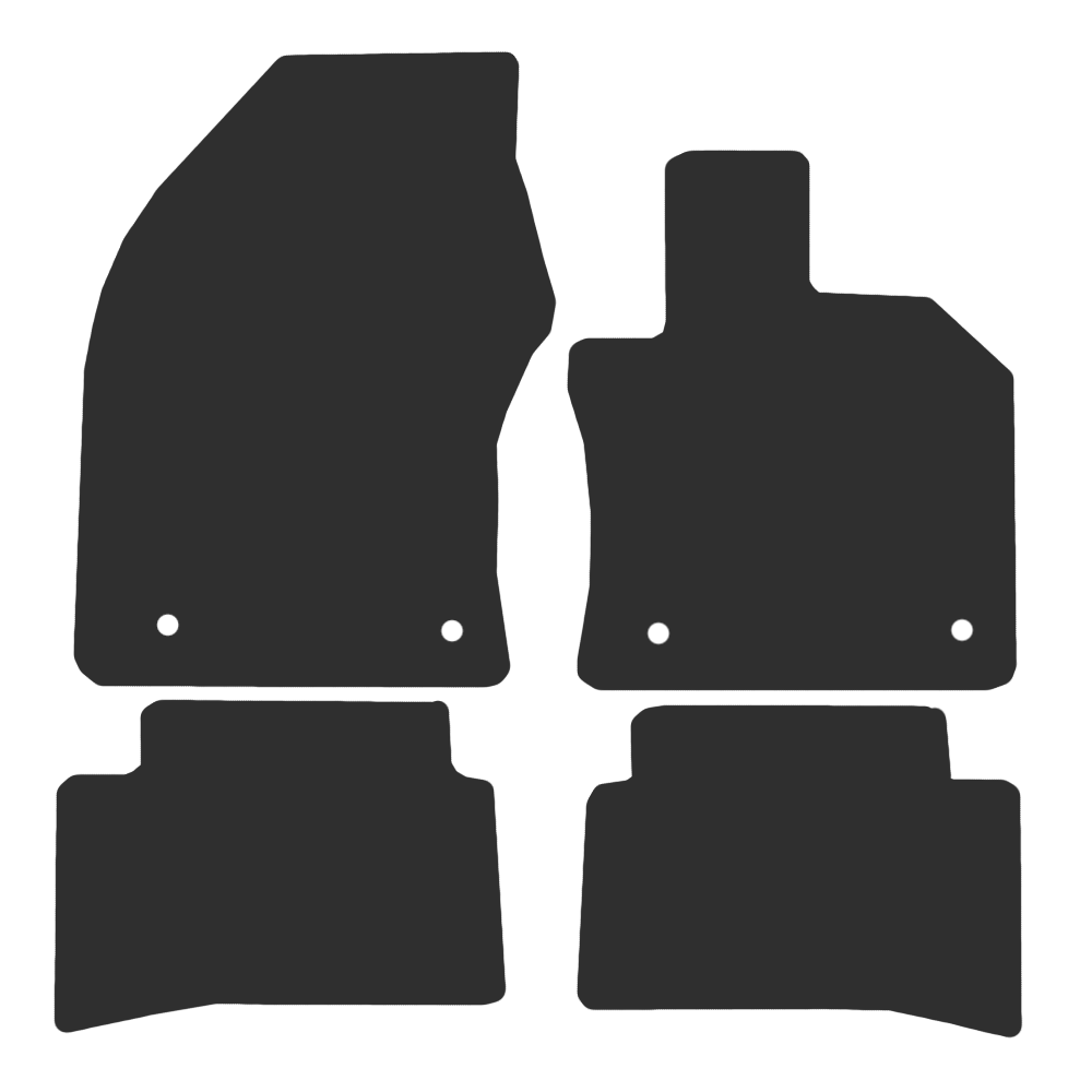 Lexus UX Electric 2021-Current Car Mats