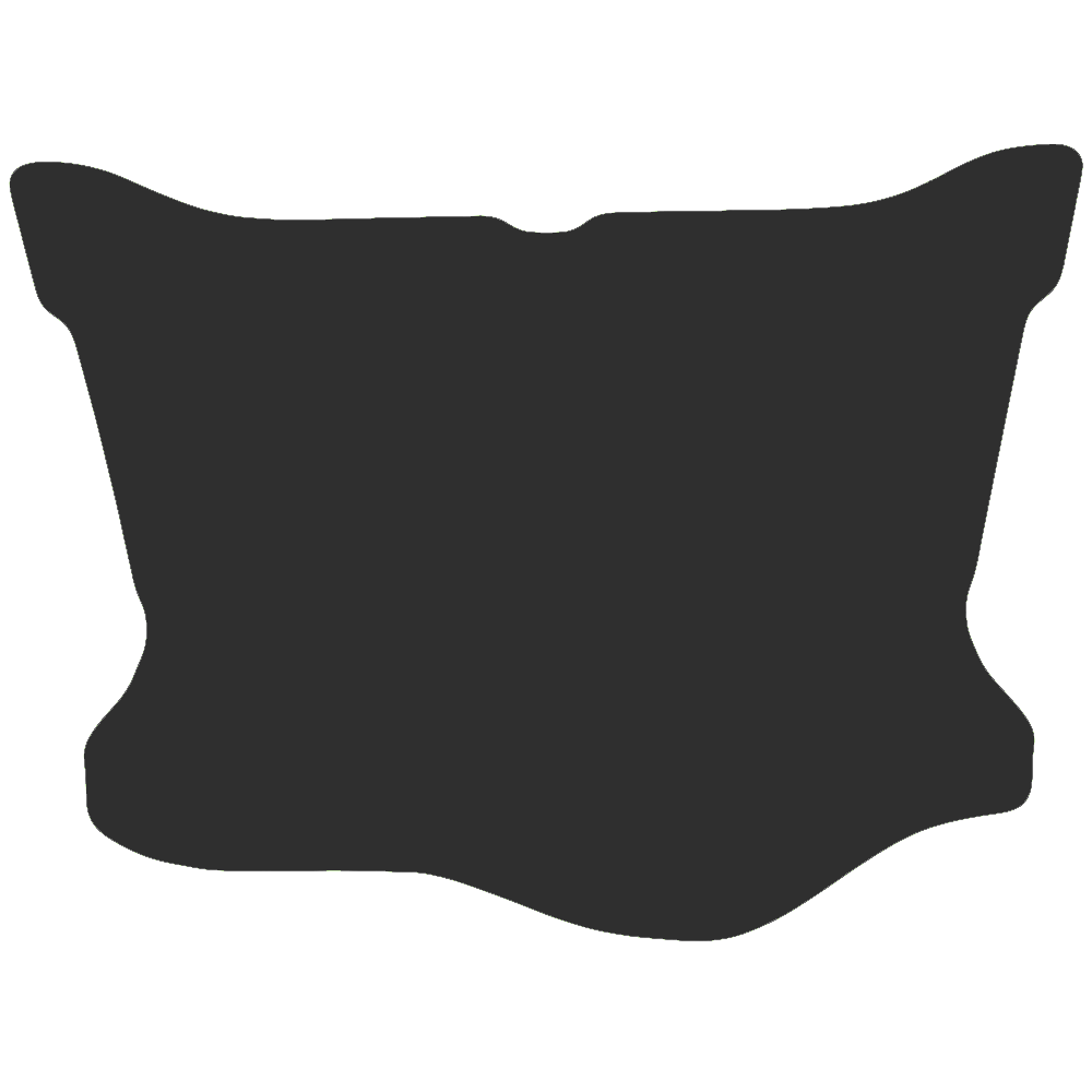 Renault Wind 2010-2013 Boot Mat