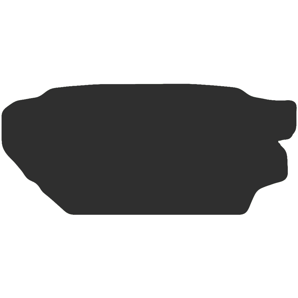 Nissan Skyline 1995 Boot Mat
